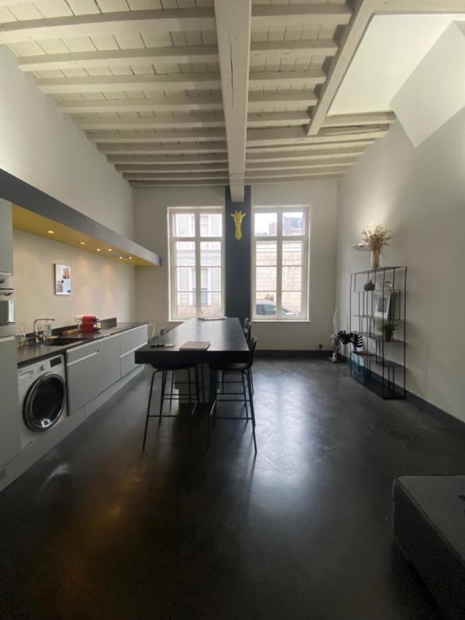 Appartement Au Beau Lieu De Metz à Lille Extérieur photo