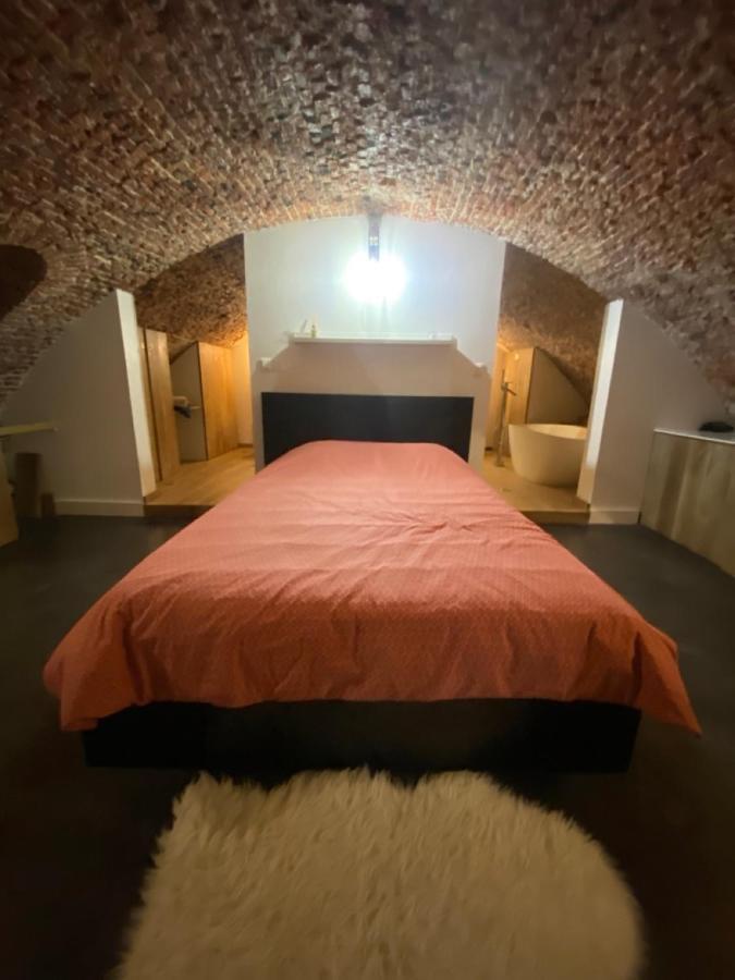 Appartement Au Beau Lieu De Metz à Lille Extérieur photo